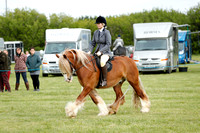 The East Anglia Horse Show 1/5/22