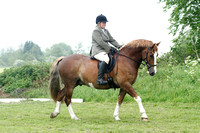 Class 16 - Riding Club Horse