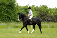 Class 30 - Walk and Trot