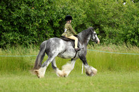 Class 31 - Novice Pony