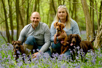 Doug, Major and Mabel - The Bluebell Collection