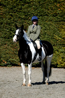 Class 5 - Riding Club Horse or Pony