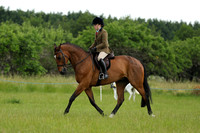 Class 32 - Novice Horse
