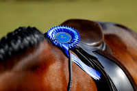 The East Anglia Horse Show 2/5/21