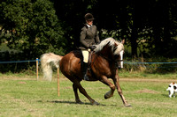 Class 77 - Kingsford Mountain & Moorland Ridden Pony of the Year Final