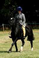 Class 87 - Best Ridden Rescue Horse or Pony