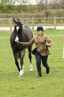 Class 36 - In-Hand Competition Type Horse/Pony