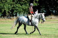 Supreme Ridden and In Hand Interbreed Championship