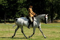 Class 54 - Ametuer Riders Ridden Small Riding Horse Final