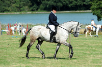 Class 49 - Pure or Part Bred Stallion, Mare or Gelding (8 years and over)