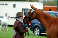 THE EAST ANGLIA HORSE SHOW CHAMPIONSHIP 27/9/20