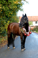 Missy - Mini Wreath Session