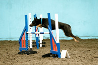 T&A Independant Agility 9/4/22