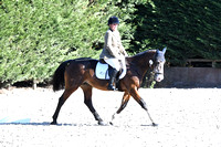 Aspley Guise and District Riding Club Summer Dressage Championships 2022