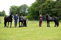 Sandringham Horse and Pony Show 2024