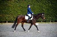 Wing Jumping & Dressage Centre Equetech Unaffiliated 26/11/22