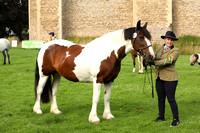 Framlingham Livestock Association 128th Annual Show Suffolk Horse Society