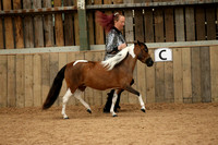 AEMHS OVERALL MINIATURE HORSE SUPREME IN SHOW