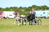 SHOW WAGON DRIVING CHAMPIONSHIP