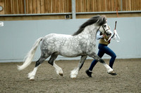 Eastern Welsh Cob and Pony Association Bronze Status Spring Show 10/4/23