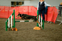 T&A Agility Independant Show 15/4/23