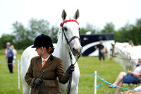 Class 26 - Senior and Young Handler