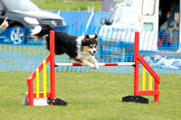 Class 46 - Large Agility Combined 1-3