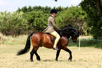 Class 53 - The NPS Peasedown Stud & Jess Talbot M&M Intermediate Ridden Small Breeds