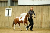 Class 126 - Classic Senior Mare, 3 Years and older