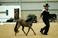 Class 30 - AMHR Two-Year-Old Mare 33 & Under