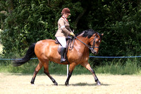 Class 54 - The NPS Peasedown Stud & Jess Talbot M&M Intermediate Ridden Large Breeds