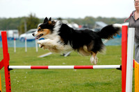 T&A Agility May KC Show 2023