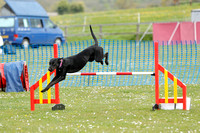 Class 40 - Large Agility Graded 1-2