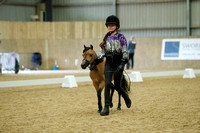 Class 93 - Youth Handler - 11 Years & under, any age horse, and mare or gelding