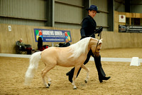 The Cavalino AEMHS Spring Miniature Horse Show 2023