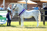 Eastern Welsh Cob and Pony Association Silver Status Summer Show 4/6/23