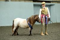 The East Anglian Shetland Pony Group Performance Show 2024