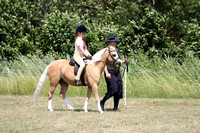 Class 50 - The NPS Showing Classics M&M Lead Rein