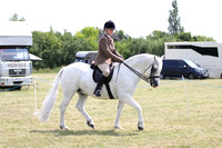 Class 56 - The NPS Ringside Stud M&M Open Ridden Large Breeds