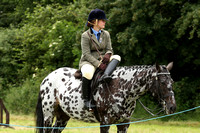 Offley And District Riding Club Show 26/6/16