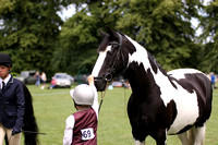 Long Sutton Horse and Pony Show  2023
