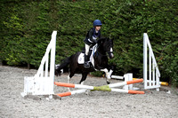 Wing Jumping and Dressage Center Equillibrium Unaffiliated Showjumping 1/7/23
