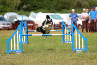 Class 227 - Large Jumping Graded 1-3