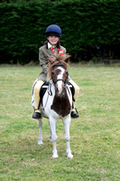 Class 8 - Thelwell Pony