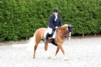 Aspley Guise and District Riding Club Summer Dressage 23/7/23