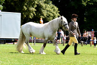 Class 31 - Senior Handler