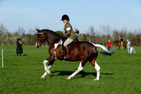 Class 14 - Ridden Horse