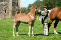 Framlingham Livestock Association