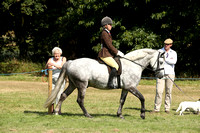 Class 76 - Confined Novice Kingsford Ridden Mountain and Moorland Pony Final