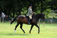 Class 36 - Amateur Riders Riding Large Horse